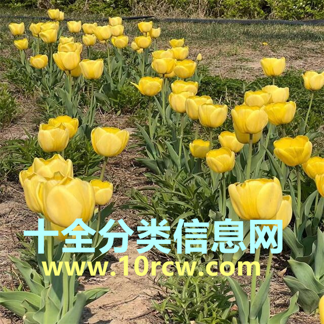 我的密码忘记了怎么办？