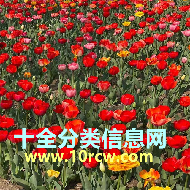 怎么登录会员管理中心？