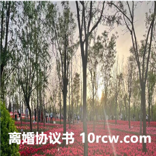 离婚协议书范本下载大全（精选10篇实用的新版离婚协议书模板）