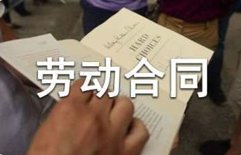 试用期劳动合同范本大全-试用期员工劳动合同模板下载