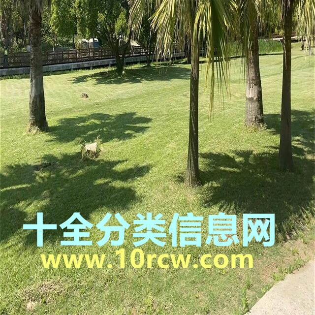 新版合作开发合同大全,合作开发合同模板下载锦集